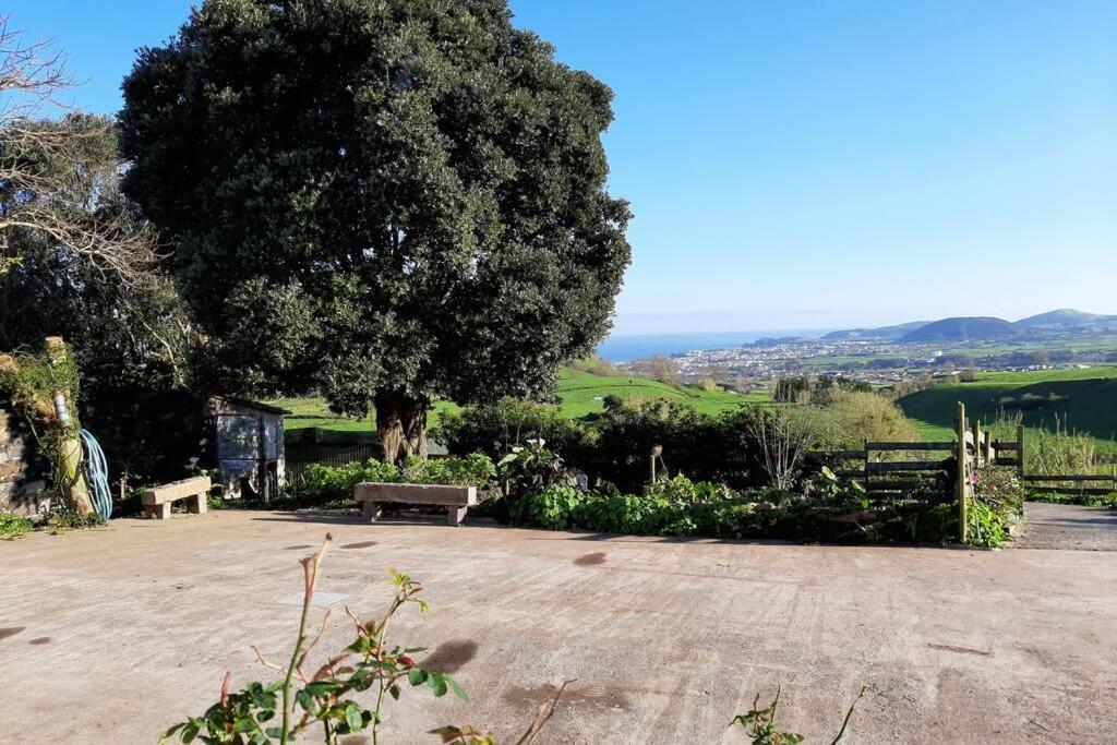 Casa Da Mediana Daire Ribeira Grande Dış mekan fotoğraf