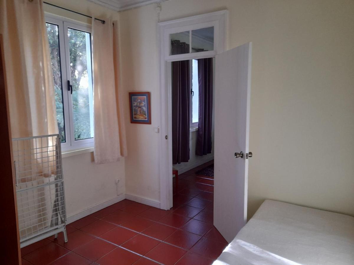 Casa Da Mediana Daire Ribeira Grande Dış mekan fotoğraf